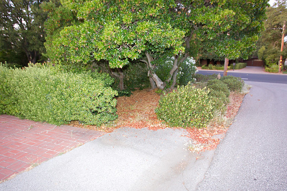 300 Los Altos Remodel-199