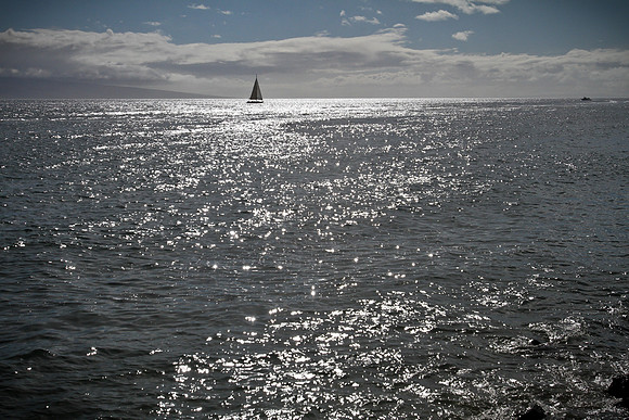 Afternoon in Lahaina | Sailboat