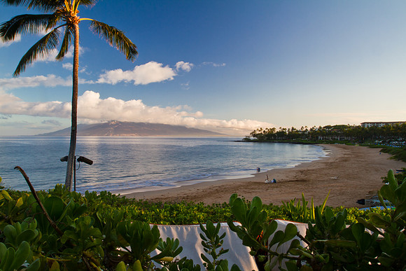 Early Riser on Wailea Beach