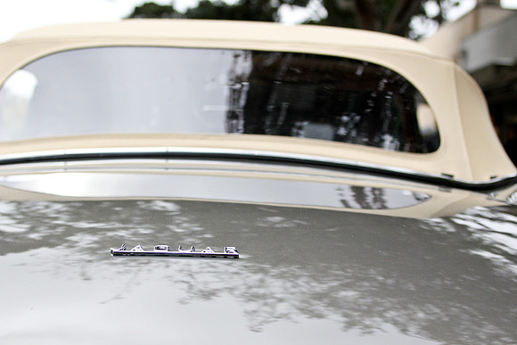 Concours Cars 2010-77