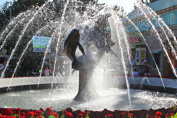 Six Flags Discovery Kingdom