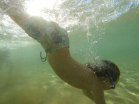 Maui New Years 2015-13