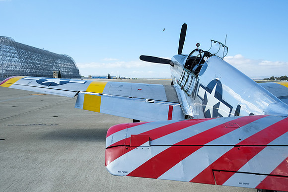 Wings of Freedom 2015-26