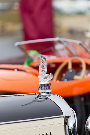 Maharajah Class - Pebble Beach Concours-9