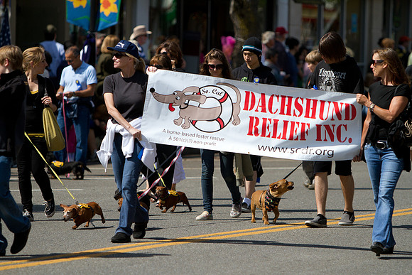Los Altos Pet Parade 2010-7