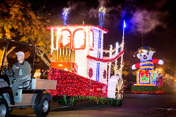 Los Altos Festival of Lights-17