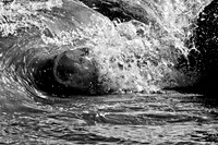 Wailea, Maui waves | black & white