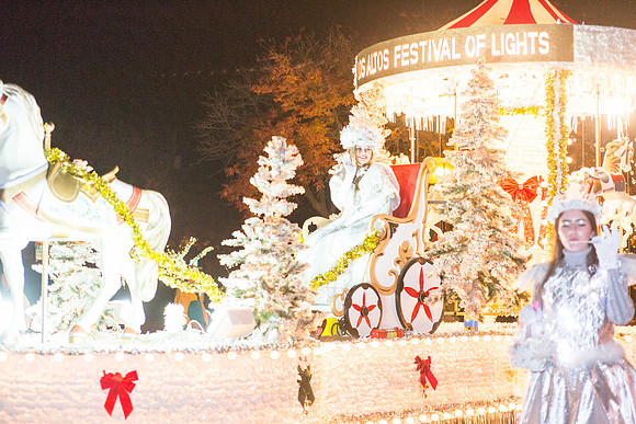 Los Altos Festival of Lights-29