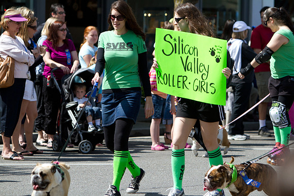 Los Altos Pet Parade 2010-10
