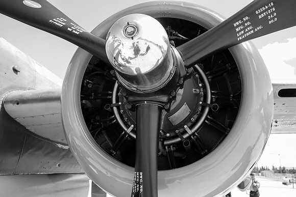 Wings of Freedom 2015-1