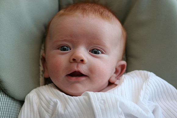 Jack Ryan Bucich