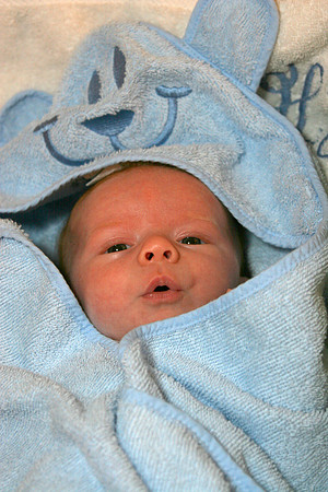 Jack Ryan Bucich