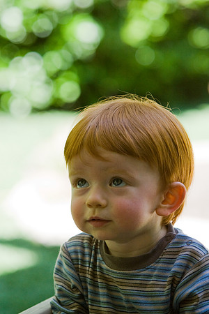 Jack Ryan Bucich