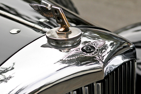 Concours Cars 2010-93