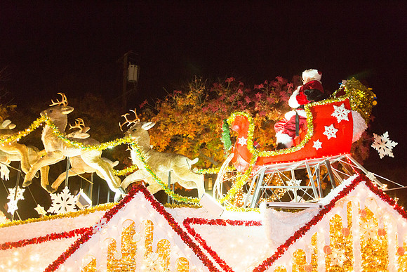 Los Altos Festival of Lights-3