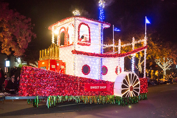 Los Altos Festival of Lights-14