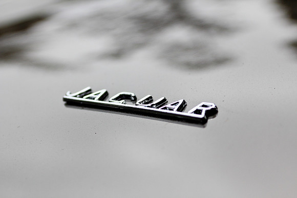 Concours Cars 2010-76