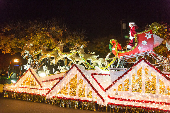 Los Altos Festival of Lights-2