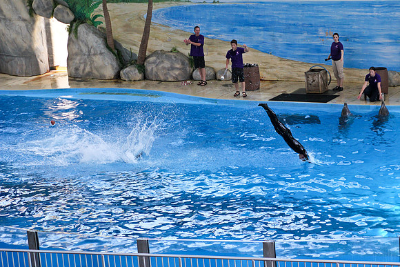 Six Flags Discovery Kingdom-37
