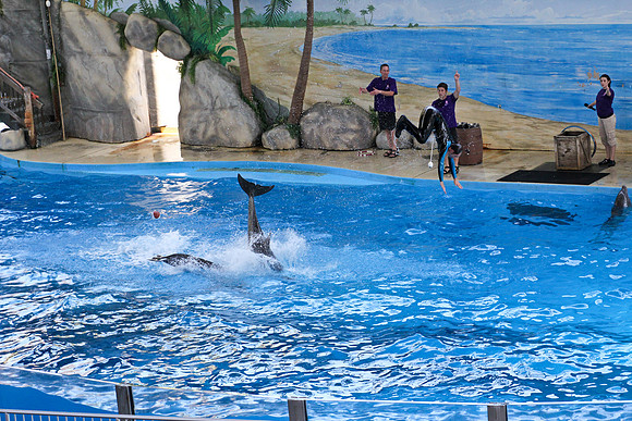 Six Flags Discovery Kingdom-38