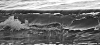 Wailea, Maui waves | black & white