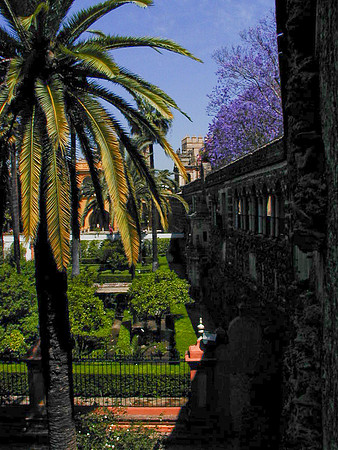 Sevilla Spain-10