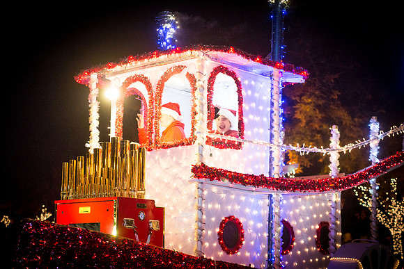 Los Altos Festival of Lights-16