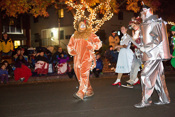 Los Altos Festival of Lights-23