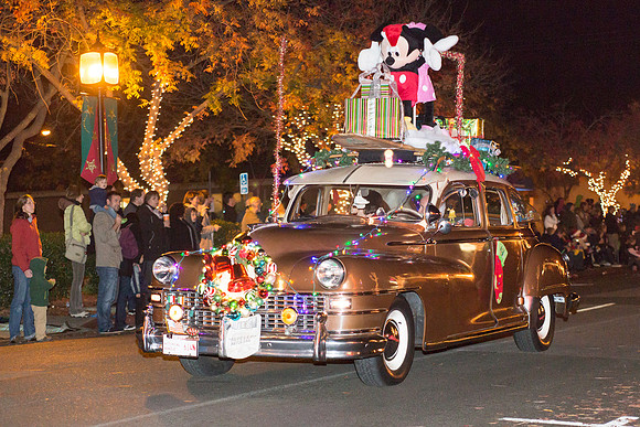 Los Altos Festival of Lights-28