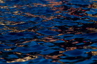 Stanford Photowalk-9