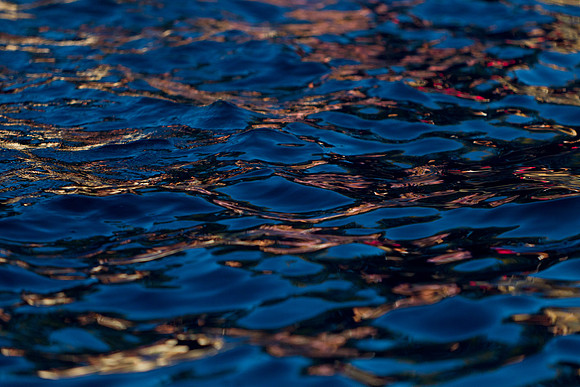 Stanford Photowalk-9