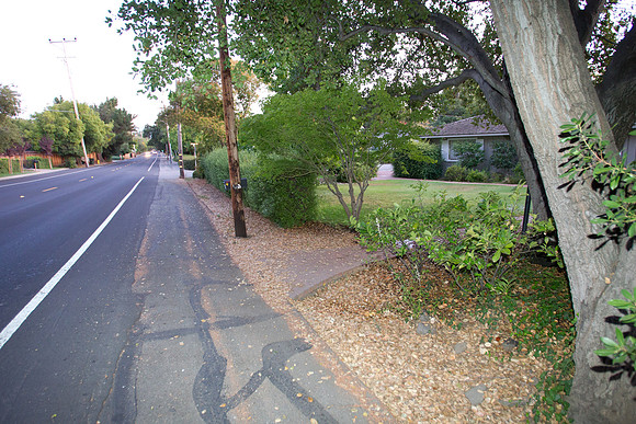 300 Los Altos Remodel-206