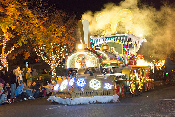 Los Altos Festival of Lights-5