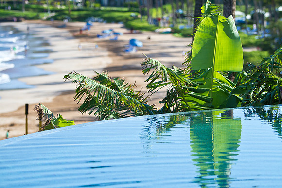 "infinity" Pool | Four Seasons Wailea