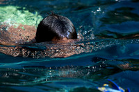 Marquez Pool Party-117
