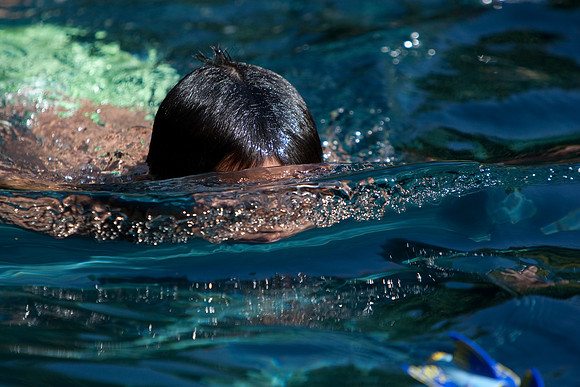 Marquez Pool Party-117