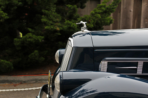 Concours Cars 2010-7