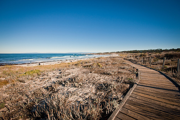 asilomar-beach-1