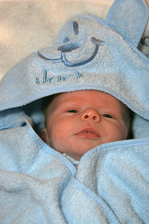 Jack Ryan Bucich