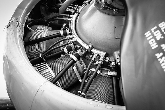 Wings of Freedom 2015 Black & White-5
