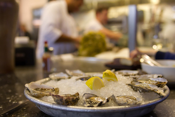Hog Island Oysters