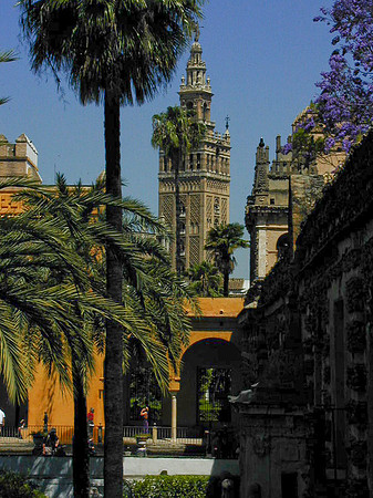 Sevilla Spain-9