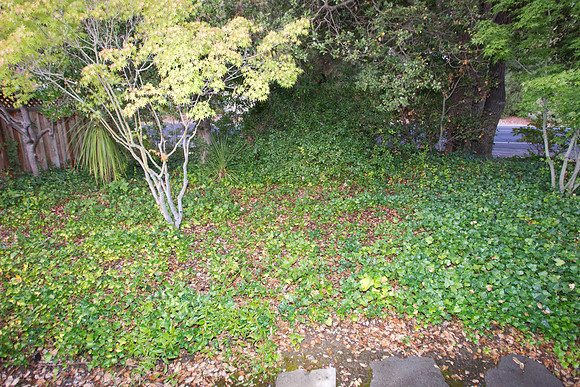 300 Los Altos Remodel-209