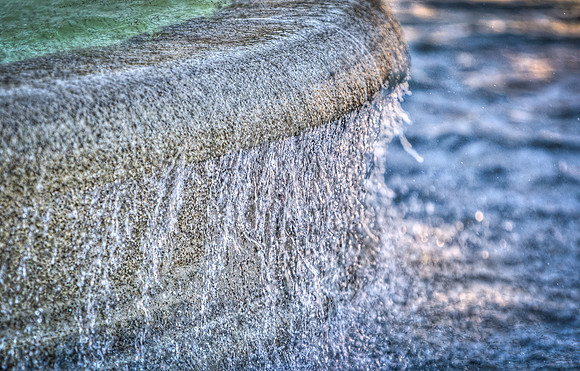 Stanford Photowalk-8