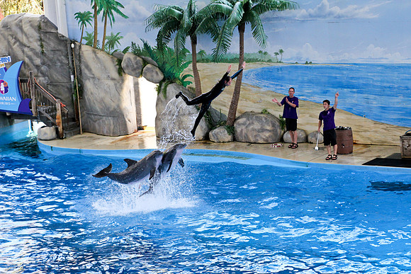 Six Flags Discovery Kingdom-40