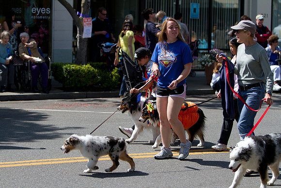 Los Altos Pet Parade 2010-6